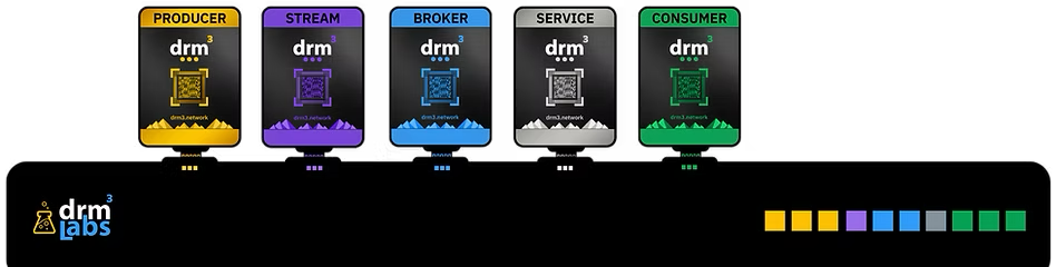 DRM3 Consumer Pass tiers