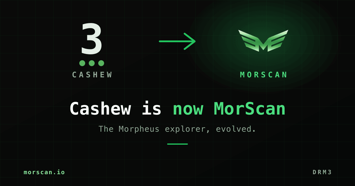 Cashew is now MorScan - the Morpheus explorer, evolved